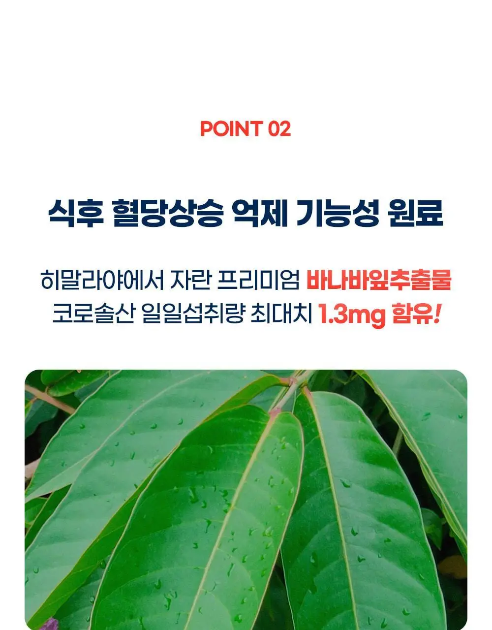 [20억 보장] 그린몬스터 혈당관리 유산균 하루 큐 30캡슐 (1개월분) 상세페이지 19